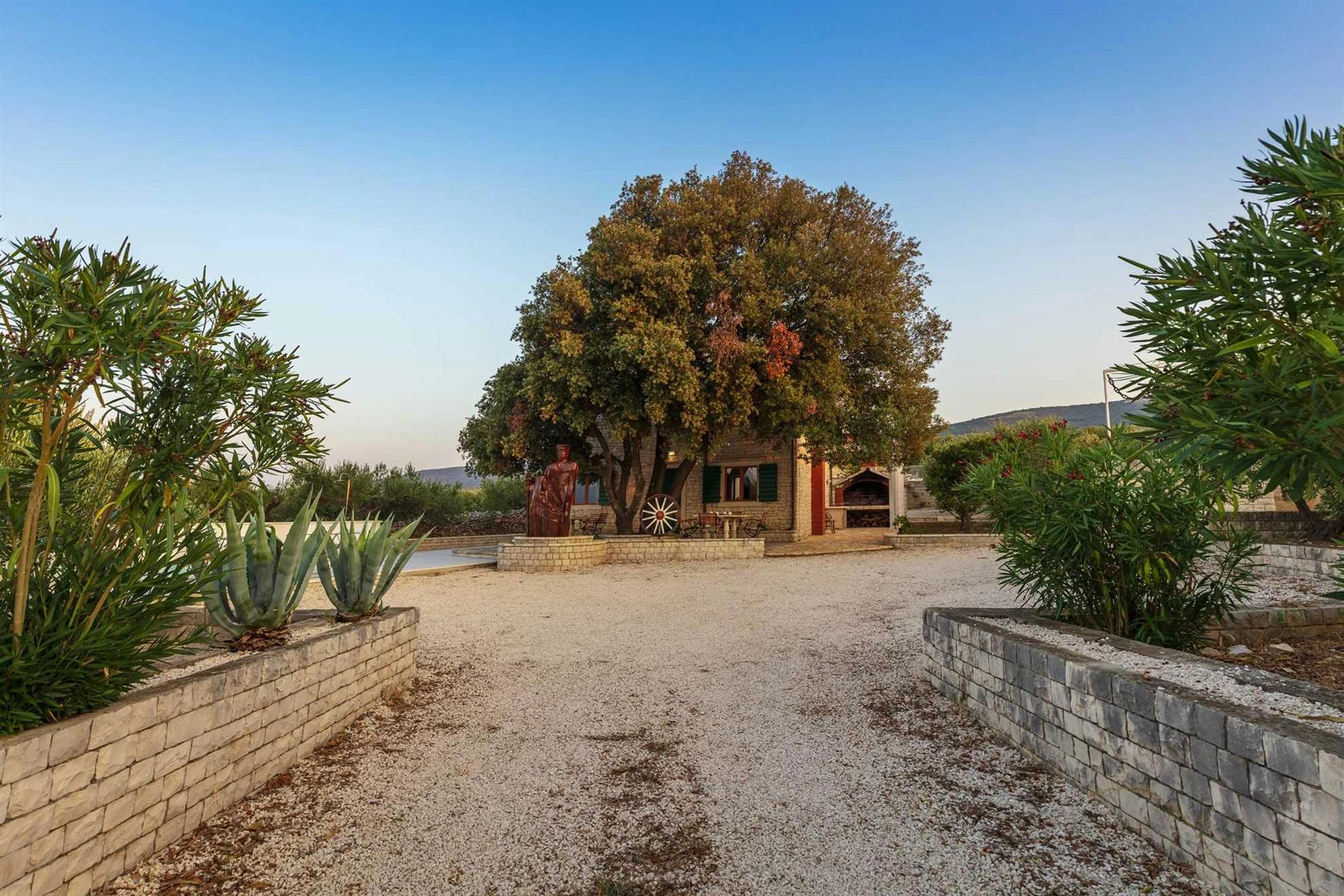 Secluded Villa Dubrava, private pool, olive grove surrounds the villa, Brac Island
