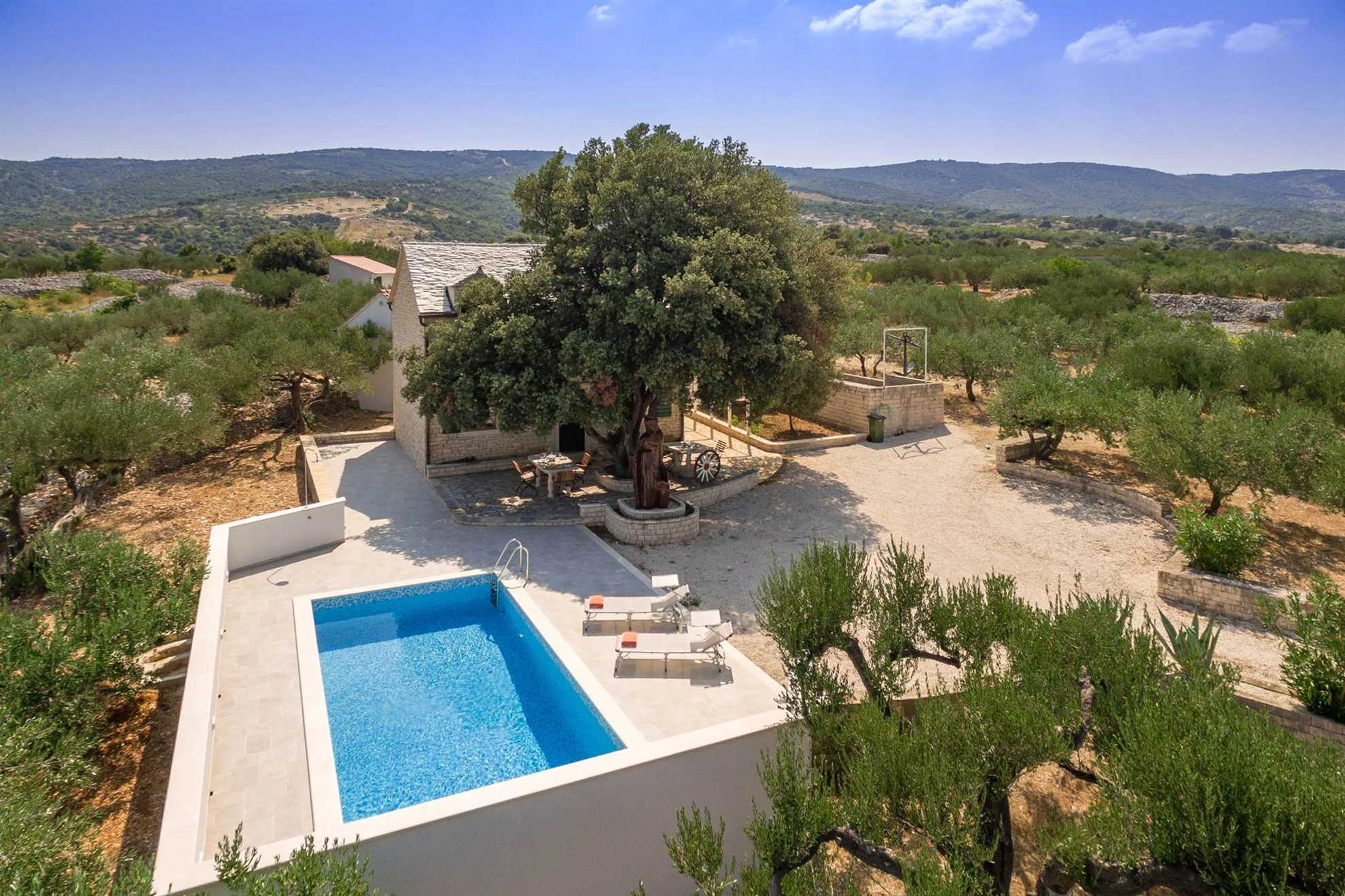 Secluded Villa Dubrava, private pool, olive grove surrounds the villa, Brac Island