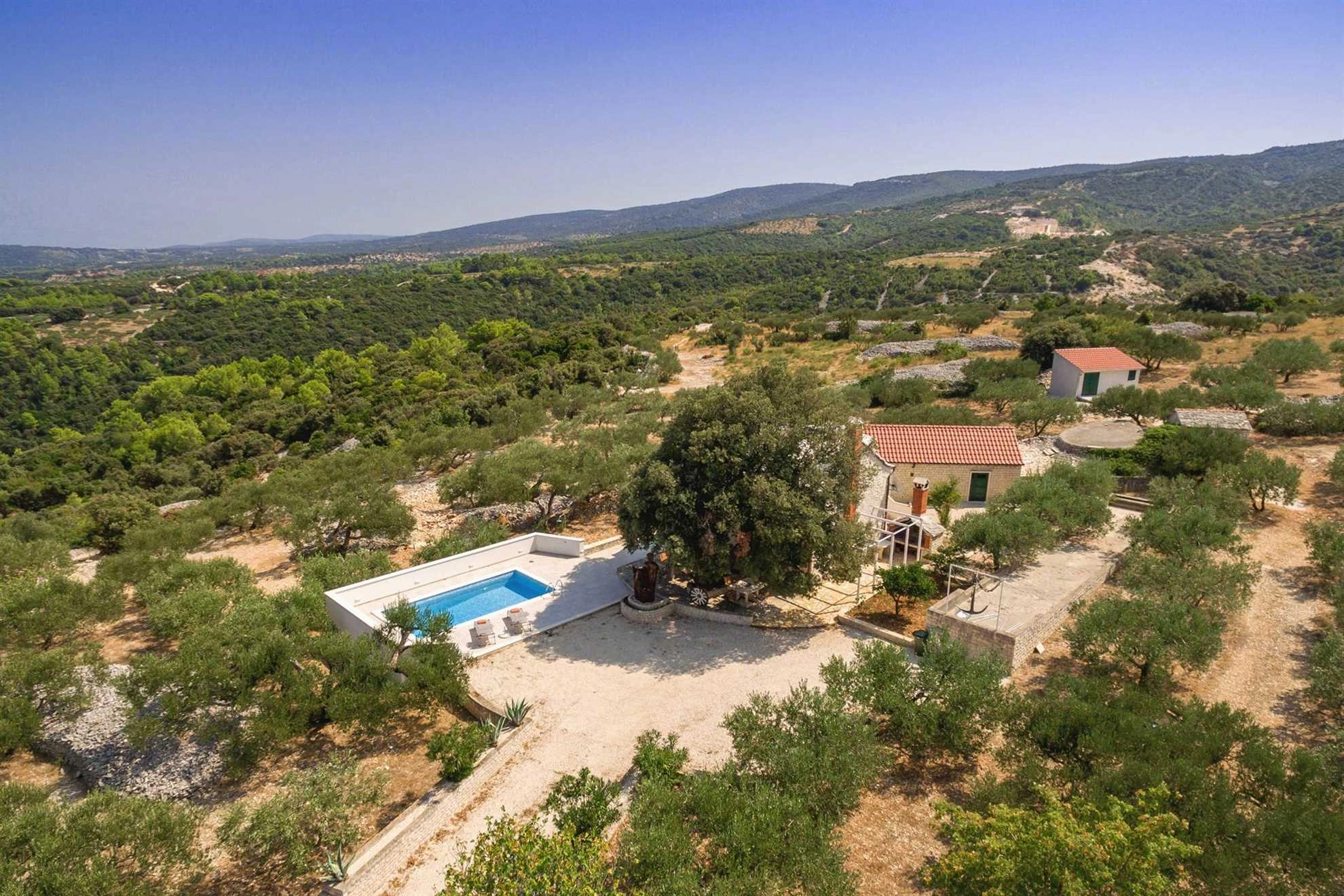 Secluded Villa Dubrava, private pool, olive grove surrounds the villa, Brac Island
