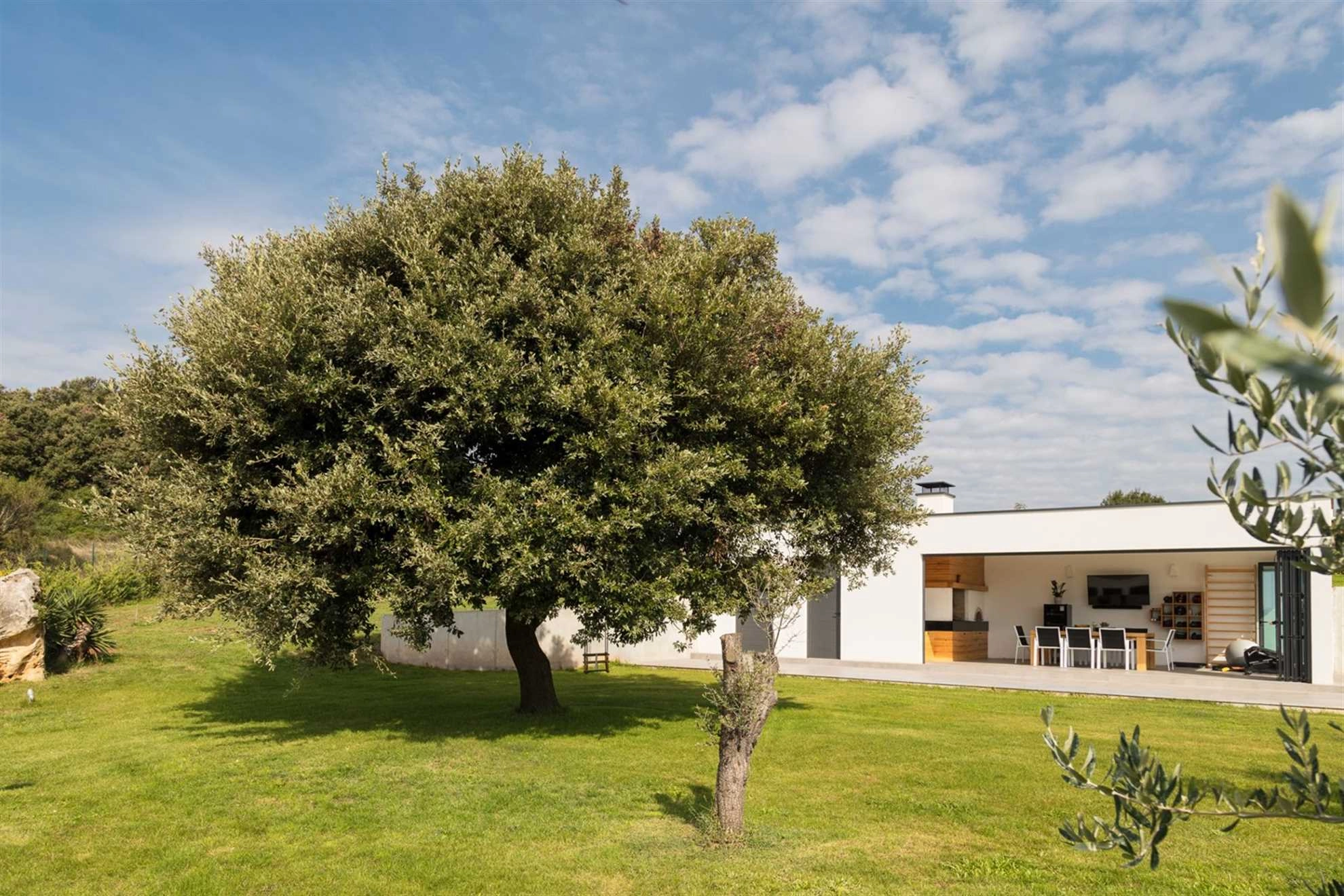 ORVAS VILLA 120 - 366372 Orvas Villa 120