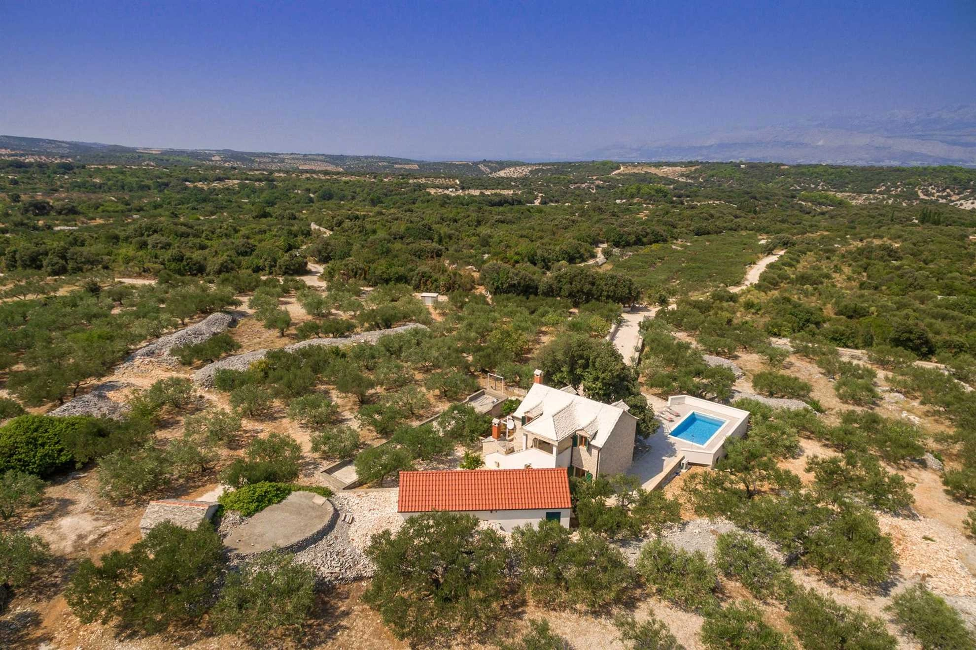 Abgeschiedene Villa Dubrava, privater Pool, Olivenhain umgibt die Villa, Insel Brac