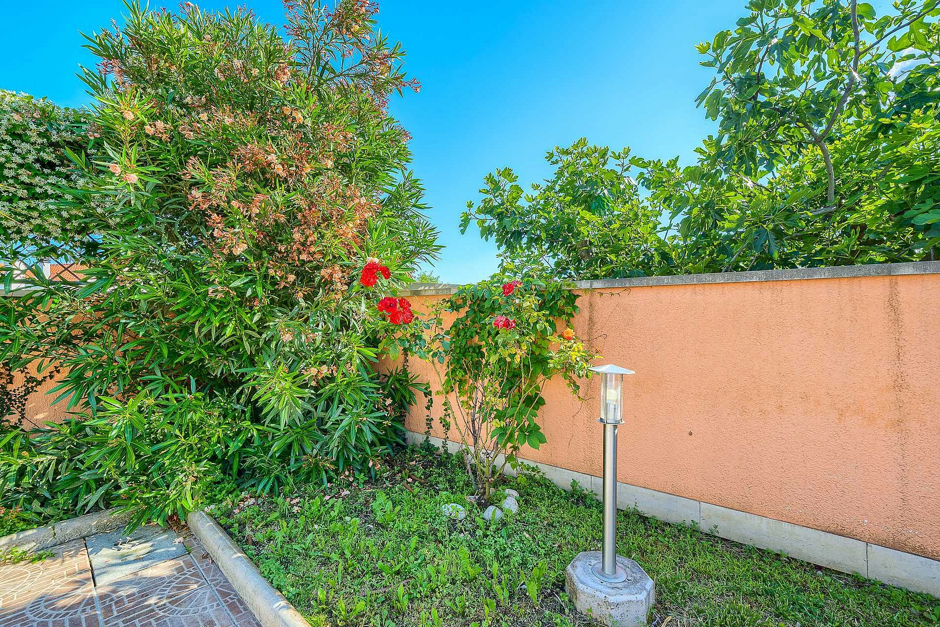 Family Villa Rasotica with large swimming pool, outdoor kitchen