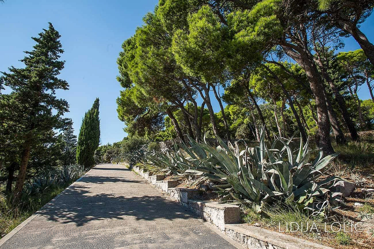 Le Prestige Room in Split near main promenade