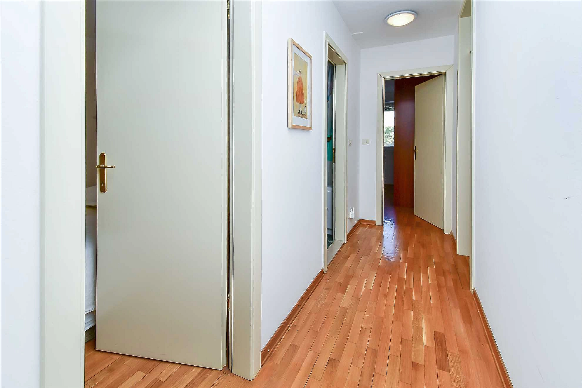 Apartment Butterfly, Split